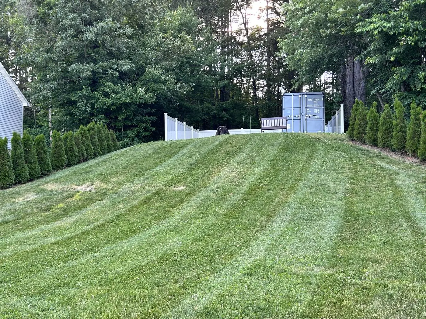 Back lawn with clean mow lines