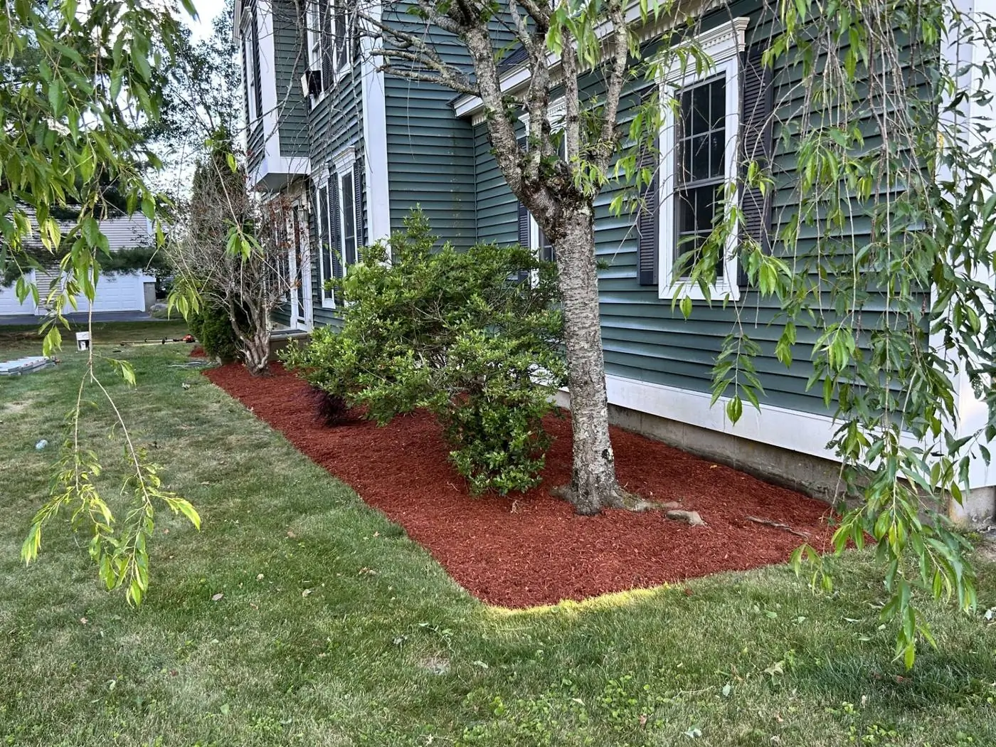 After: cleared, edged and mulched