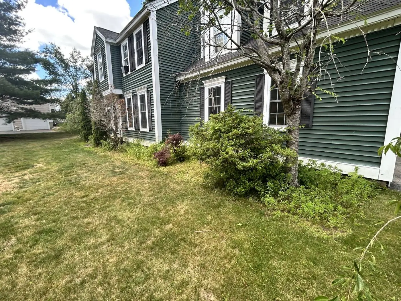 Before: the overgrown bed