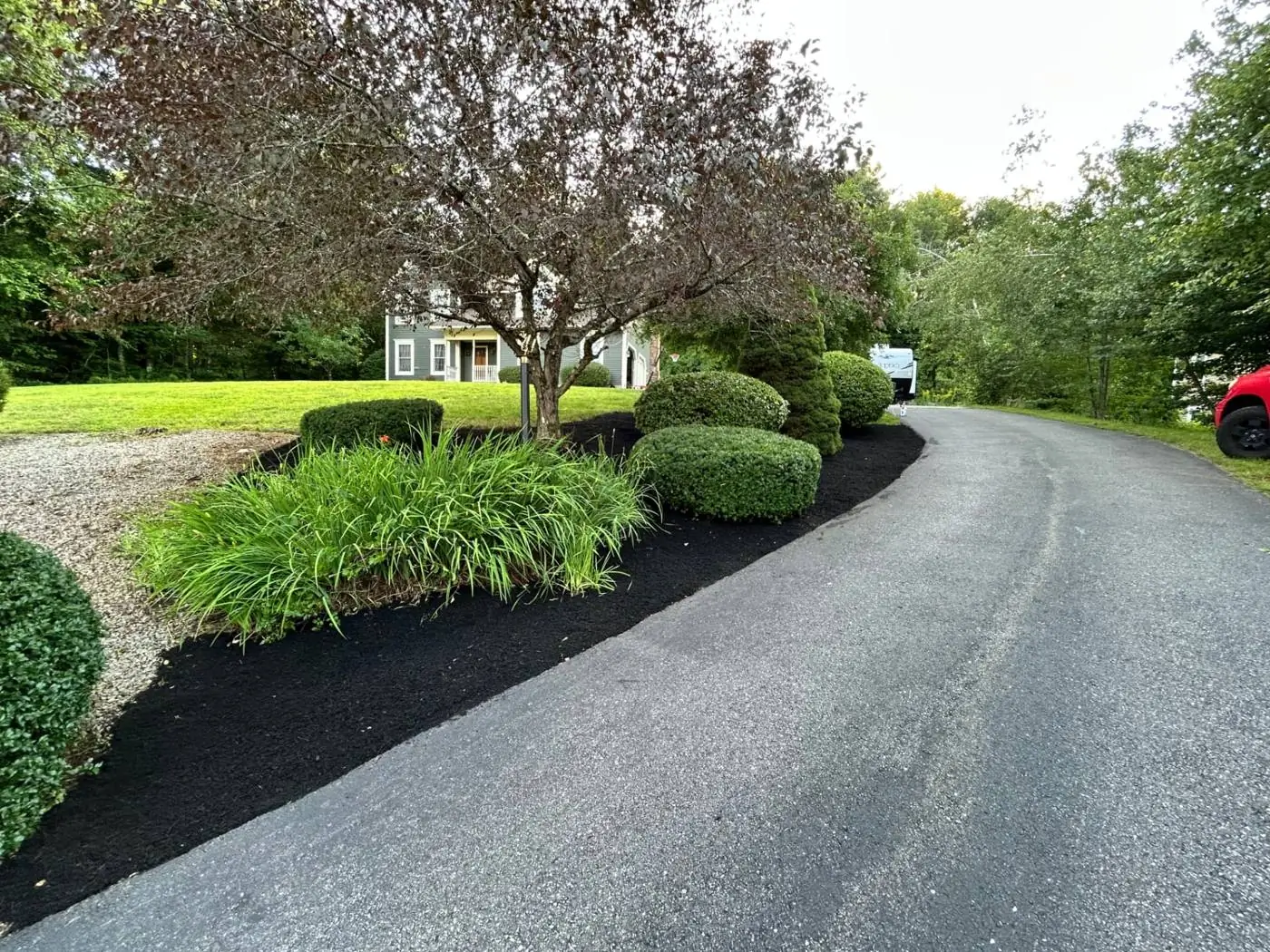After: weeded, shaped and mulched