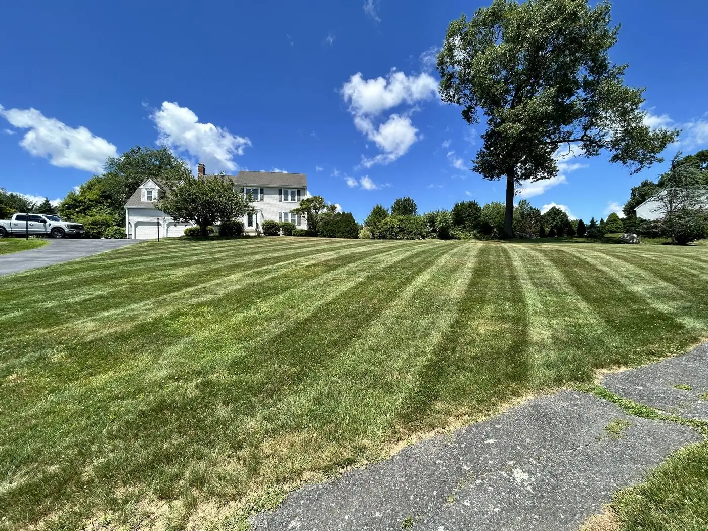 Fresh stripes across a front lawn, out to the road