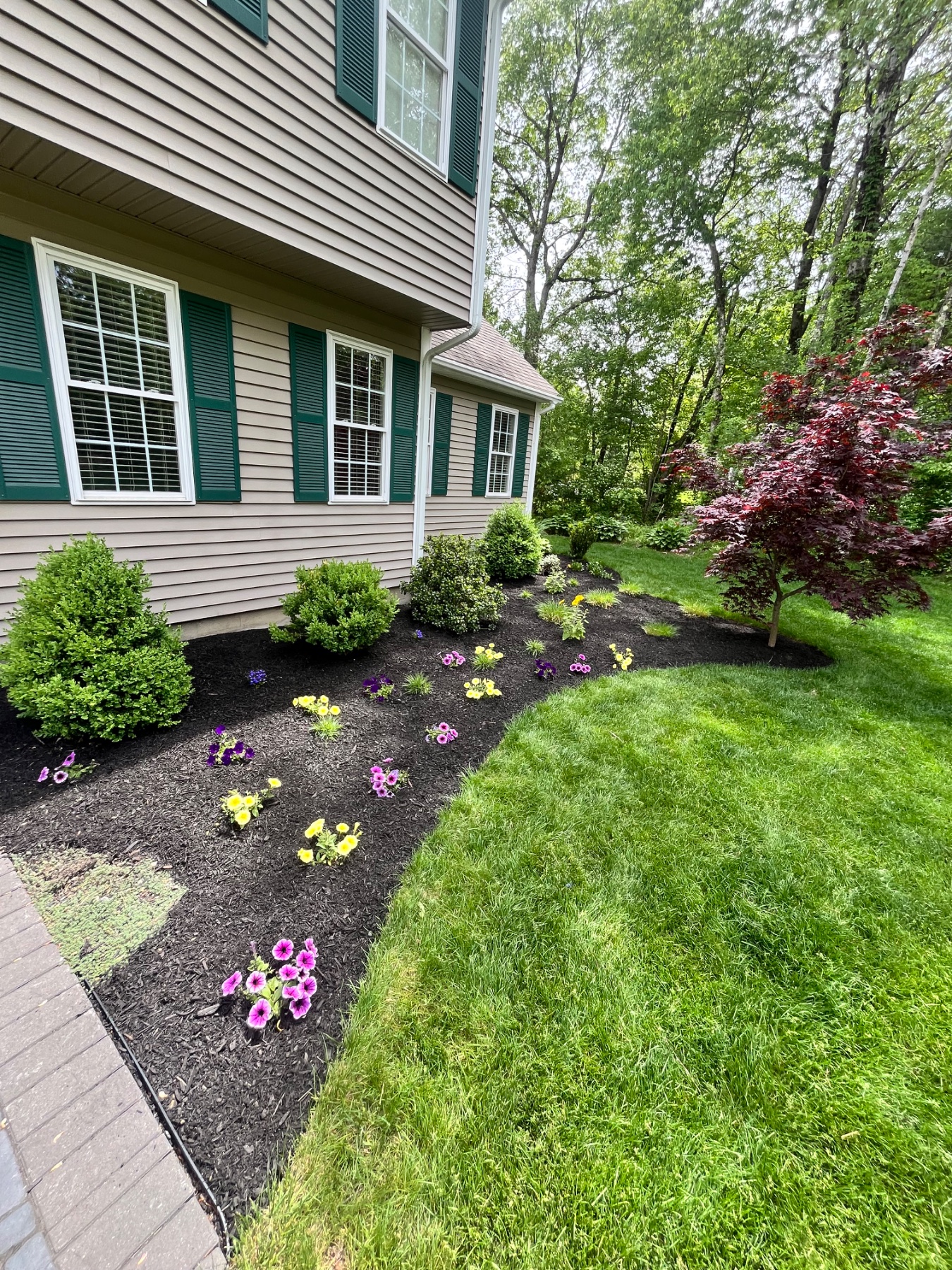 Fresh mulch installation and landscape bed maintenance in Oxford, MA.